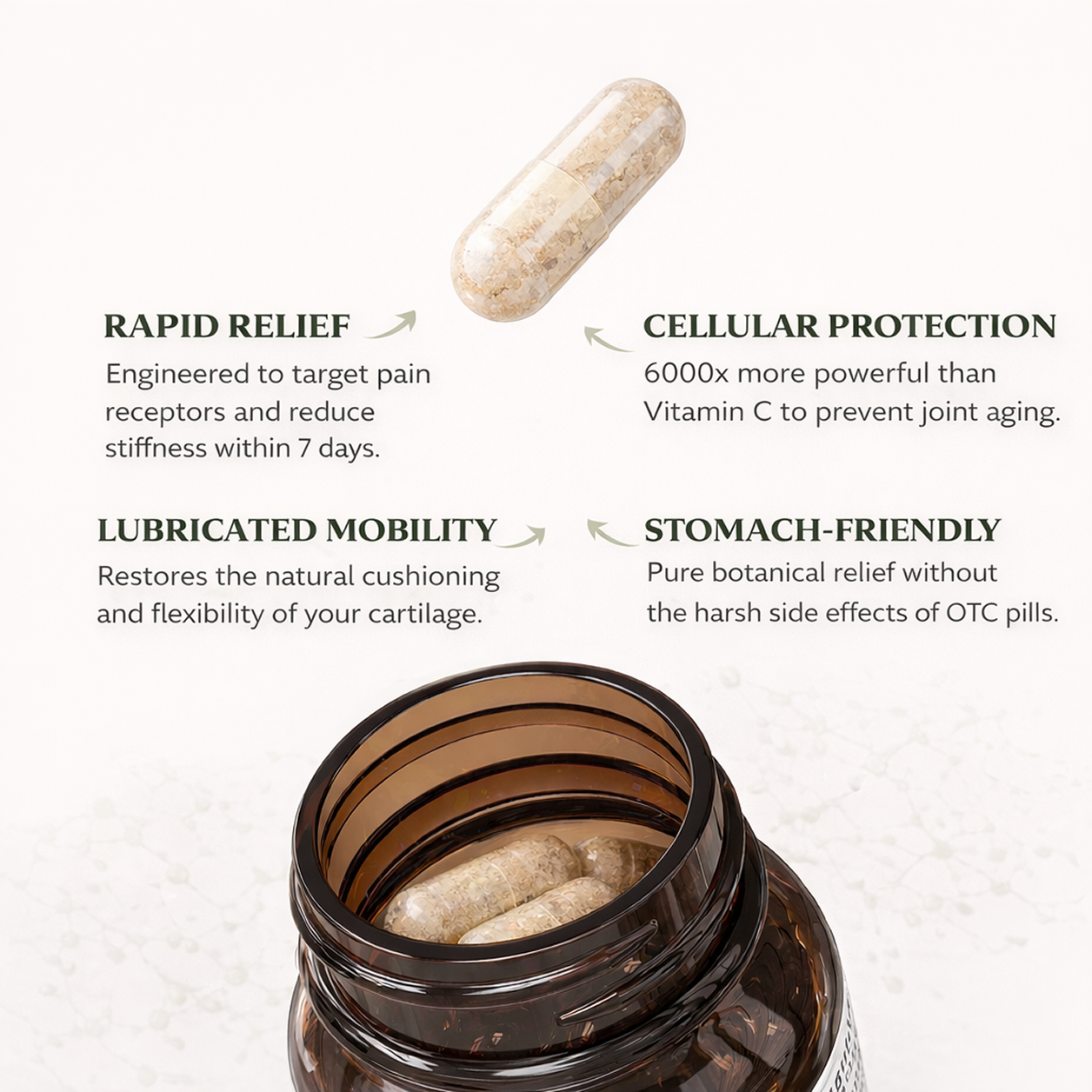 Joint & Recovery Complex