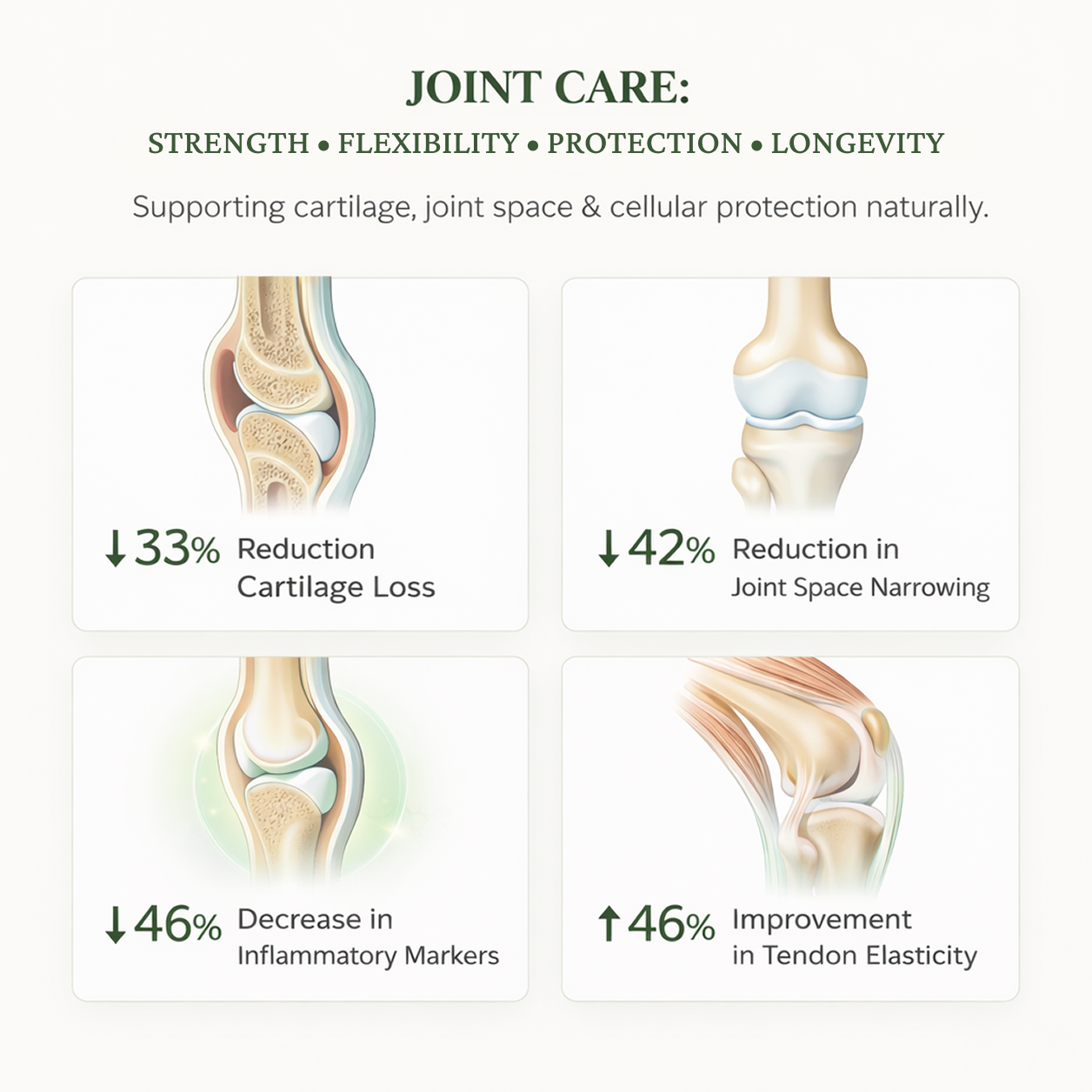 Joint & Recovery Complex